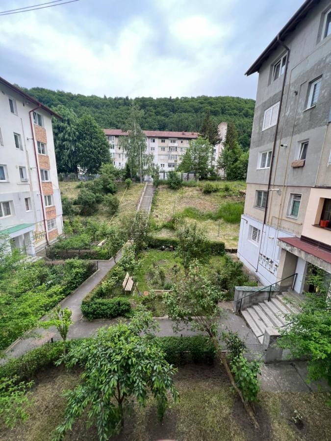 The Retreat Apartamento Sinaia Exterior foto